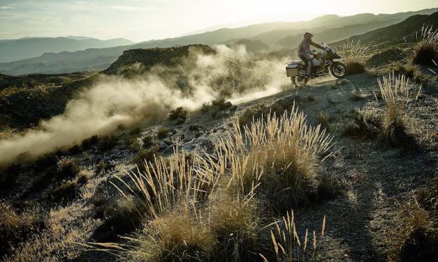 Neale Bayly Rides: In This Moment