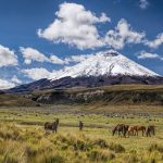 Neale Bayly Rides: Falling, Rising, & Perfect Moments in Ecuador